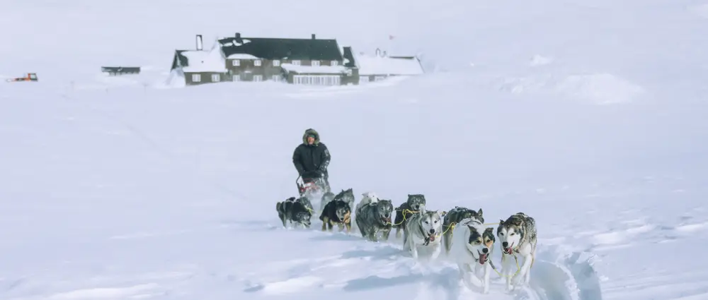 Dog sled leaving Geiterygghytta