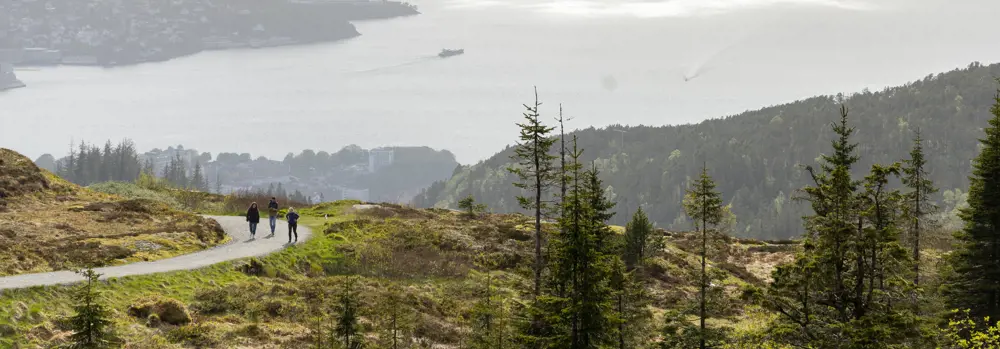 Oversiktsbilde over Byfjorden i Bergen og noen folk som går på tur opp grusvei.