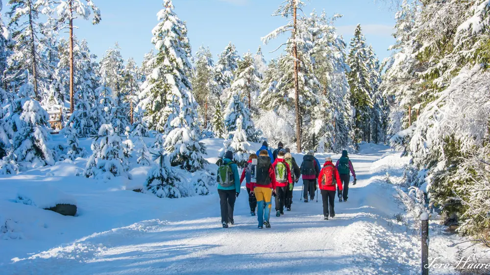 Turgruppa UT på tur Eiker til Hoensvannet, Øvre Eiker