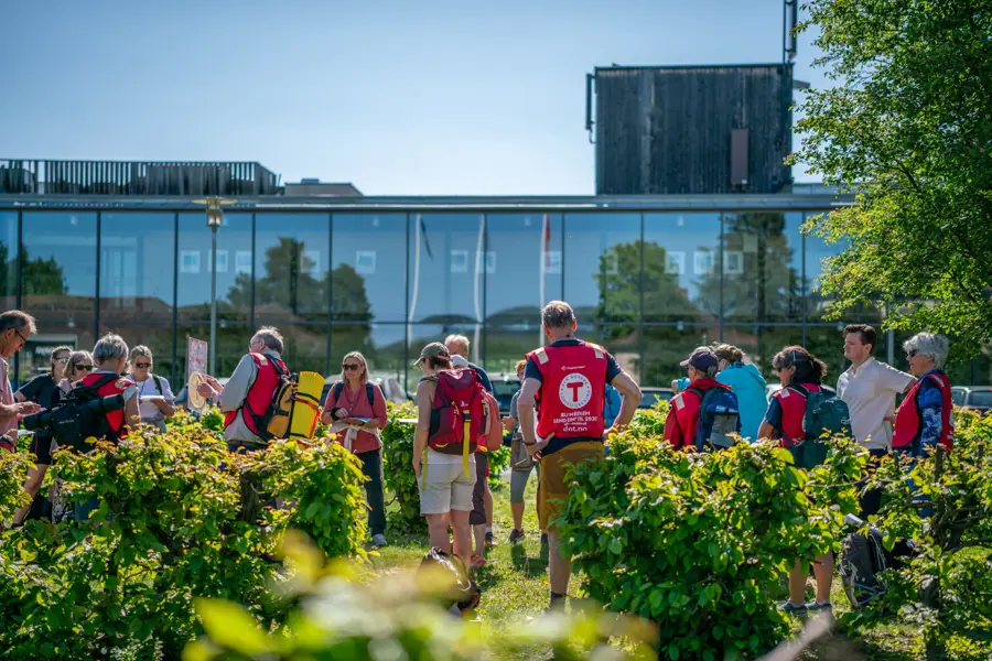Frivilligdagen Oksenøya 4.06.23