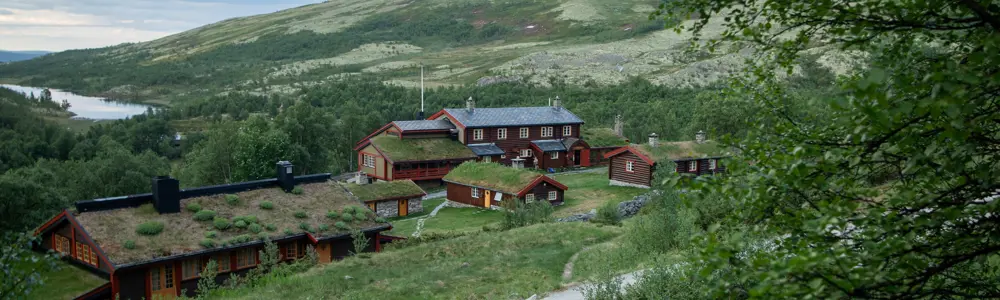 fra ny stueåpning på bjørnholia