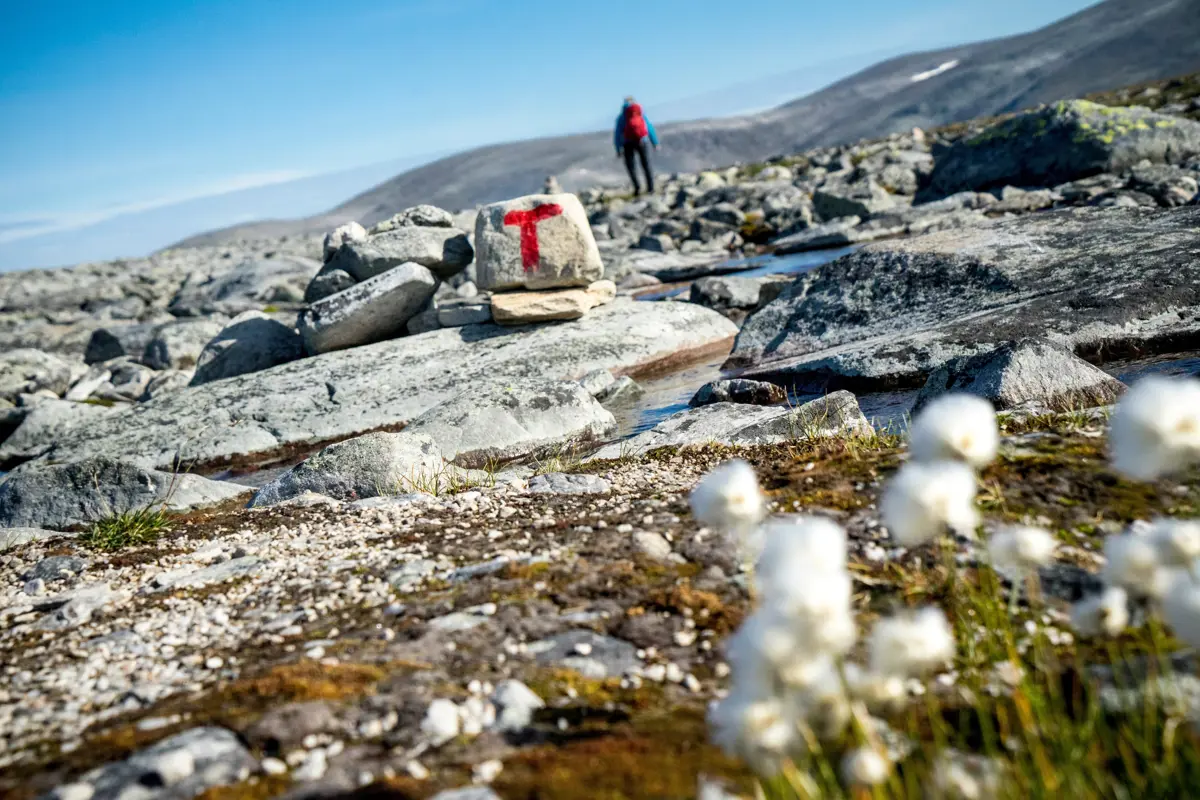 Bilder fra fjellferie 2019. 