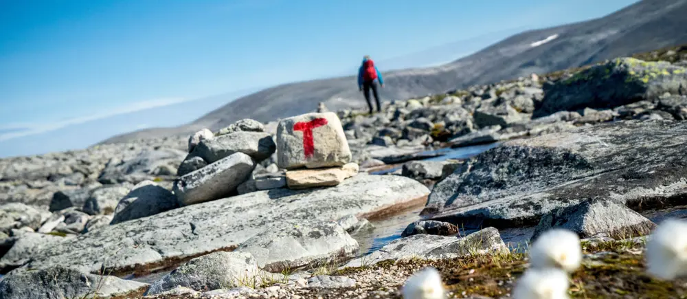 Bilder fra fjellferie 2019. 