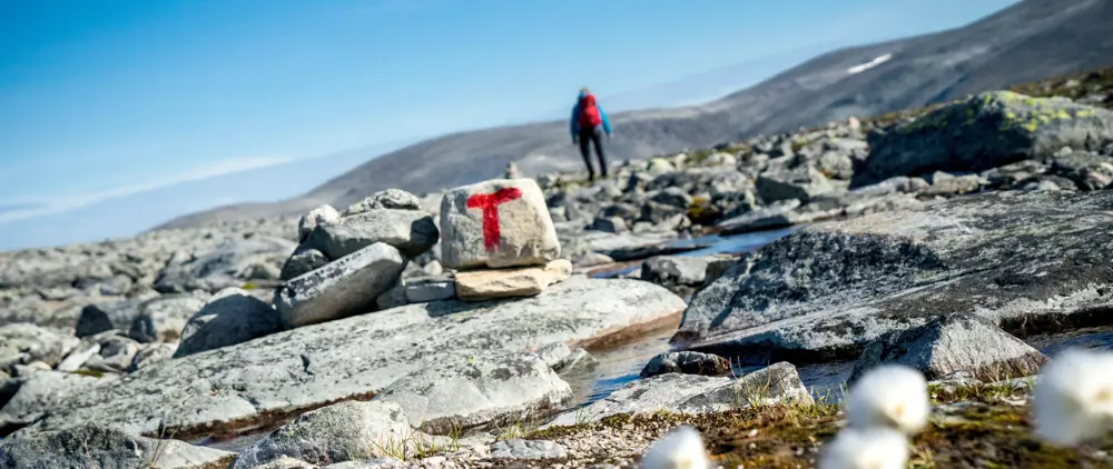 Bilder fra fjellferie 2019. 