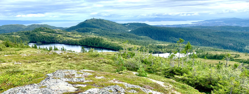 Bymarka i Trondheim, sett fra Storheia. Man ser en stor mark som består av skog, tjern og hauger/topper. Man kan også se en stor kuppel på en av toppene.