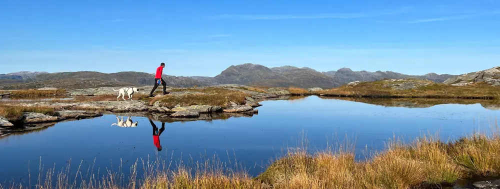 Grøet i Samnangerfjella, Knut Langeland og Max