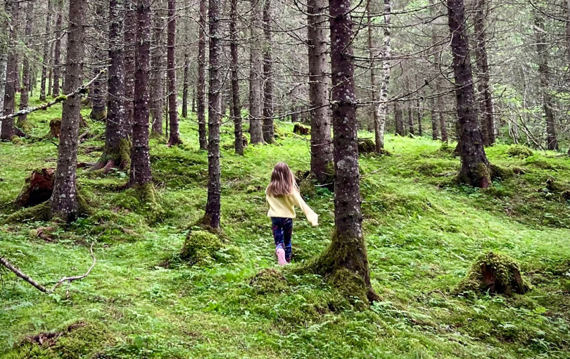 Skoglandskap i mosedekket oppoverbakke, hvor en liten jente i strikkagenser går vekk fra oss. 