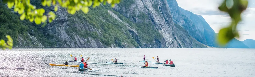 Flere mennesker som padler kano i Lysefjorden. Grønne blader vises i forgrunnen av bildet.