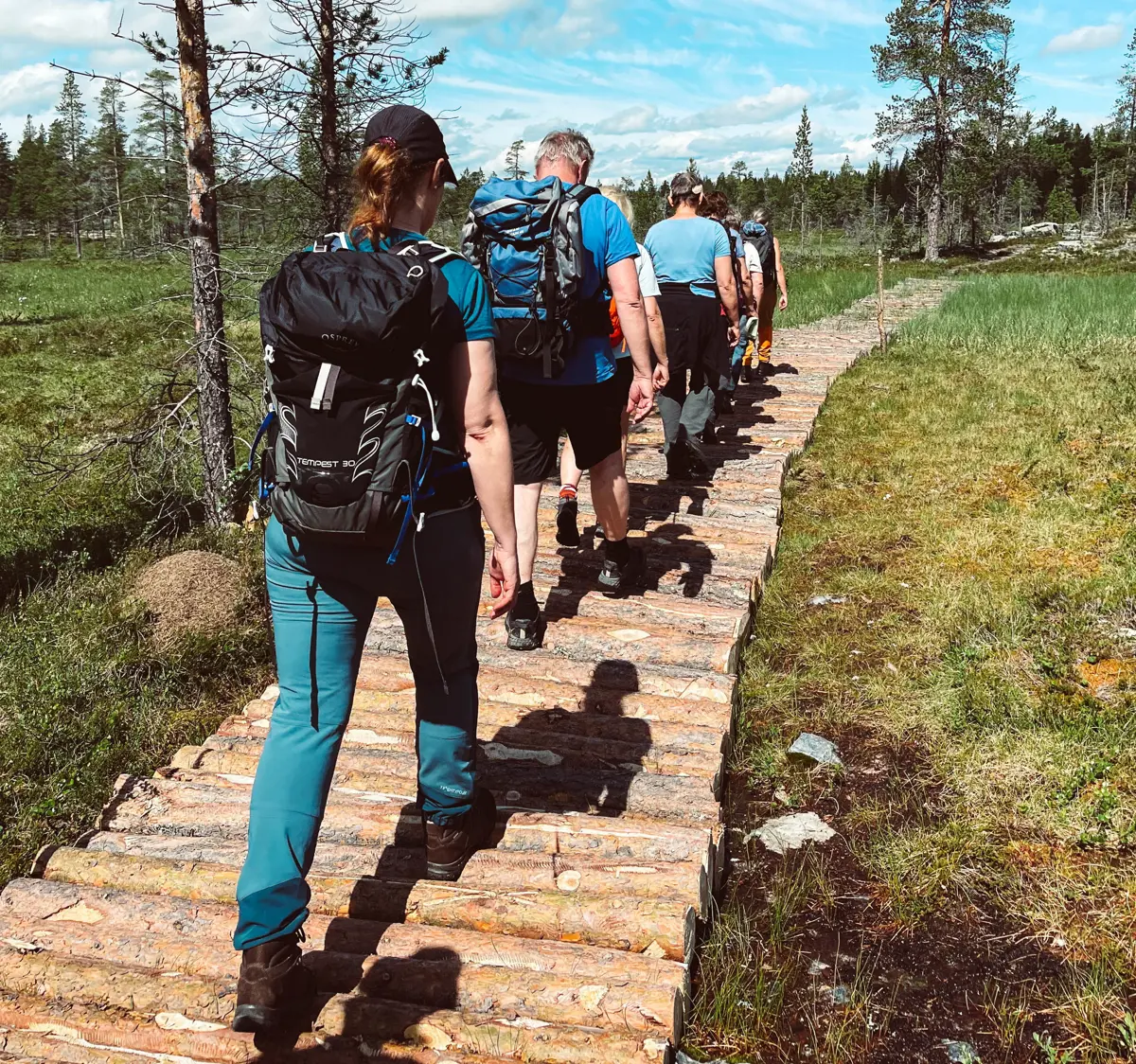 Historisk Vandrerute - Malmveien. Tatt med Iphone. 
På ruta mellom Langen og Fjølburøsta.