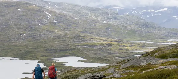 Ruten Stavali–Dronningstien–Kinsarvik, august 2023.