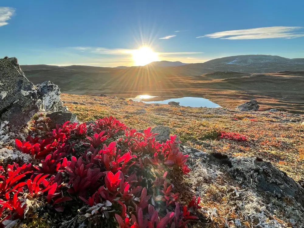 Høst i Trollheimen