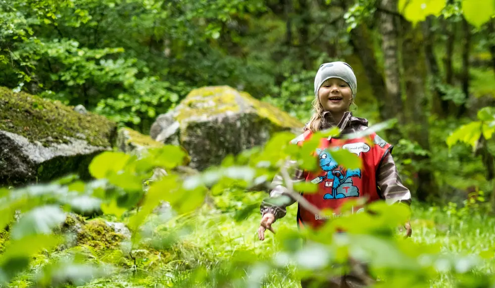 Bilder fra fellestur til Kaldahåla og Kongesteinen i Lysebotn. Barnas Turlag, turboklubb, Lysefjorden Turisthytte. Regnvær, sommer, skog. Oda Nessler Bjørheim.