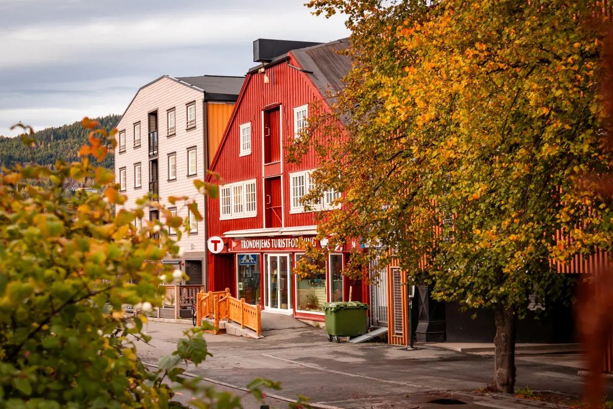 Fasadene på en rekke bygninger i en gate i Trondheim, med et par trær foran dem. Den røde bygningen i midten er Turisforeningens lokaler. 