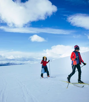 To skiløpere på langrennsski i vinterlig landskap