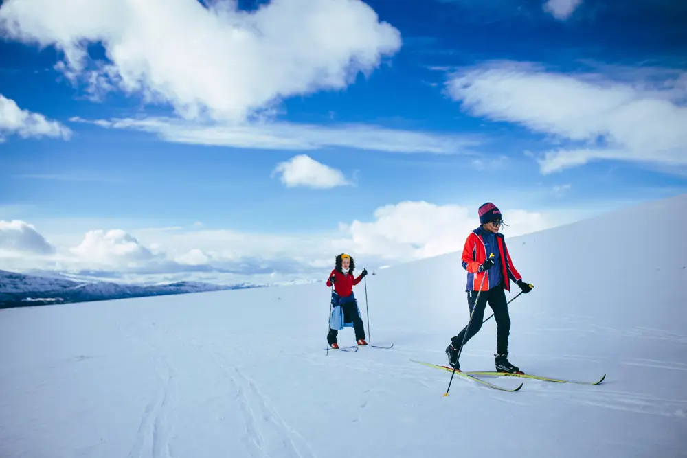 To skiløpere på langrennsski i vinterlig landskap