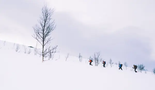 Skredkurs med Troms Turlag. Februar 2020. Skredkurs med Troms Turlag. Februar 2020.