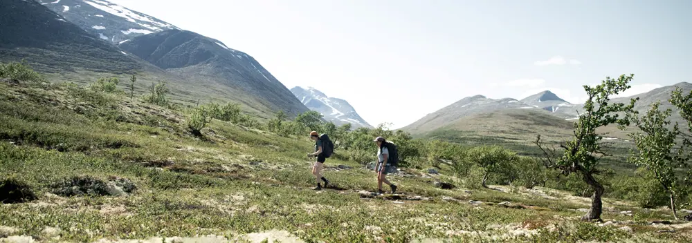 fra ny stueåpning på bjørnholia