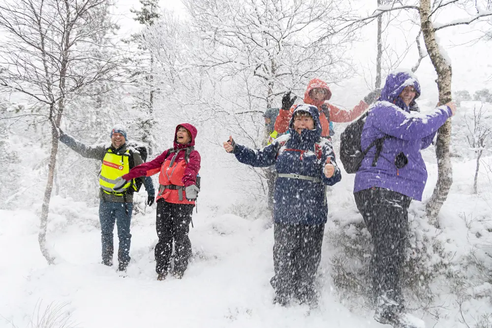 Fem personer rister i trær slik at det drysser ned masse snø på dem og de ler.