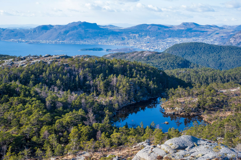 Utsikt mot skog og fjord og fjell.