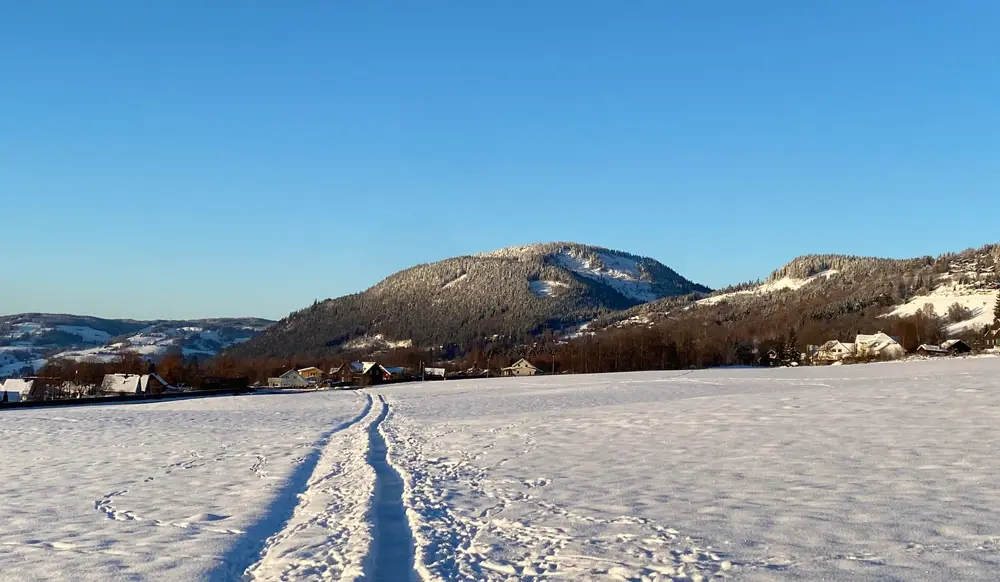 Landskap med snø