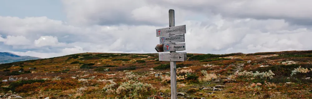 Langsua Nasjonalpark, Liomseter.