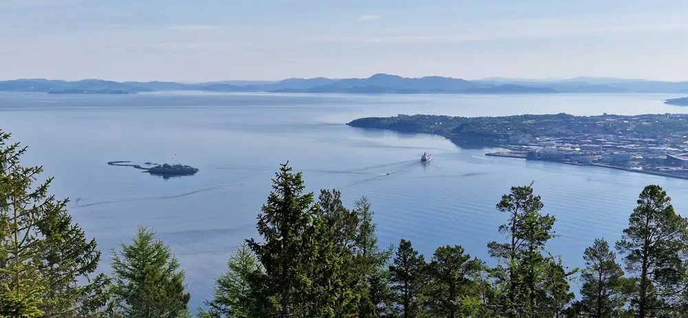 Utsikt over en fjord, med grantrær i forgrunnen