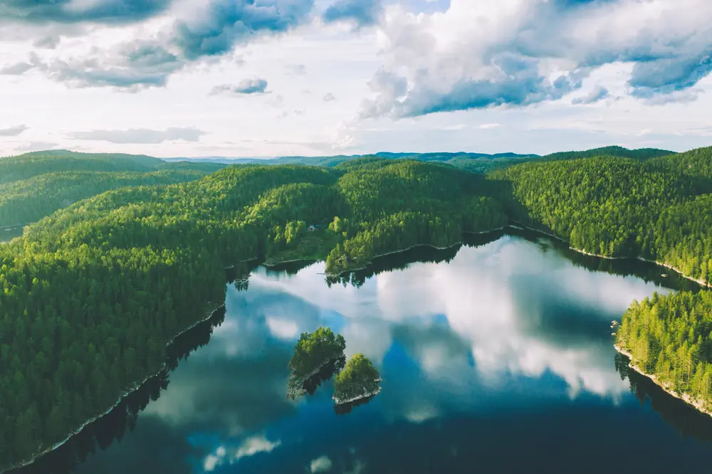 Skogsområde og skogsvann sett fra lufta.