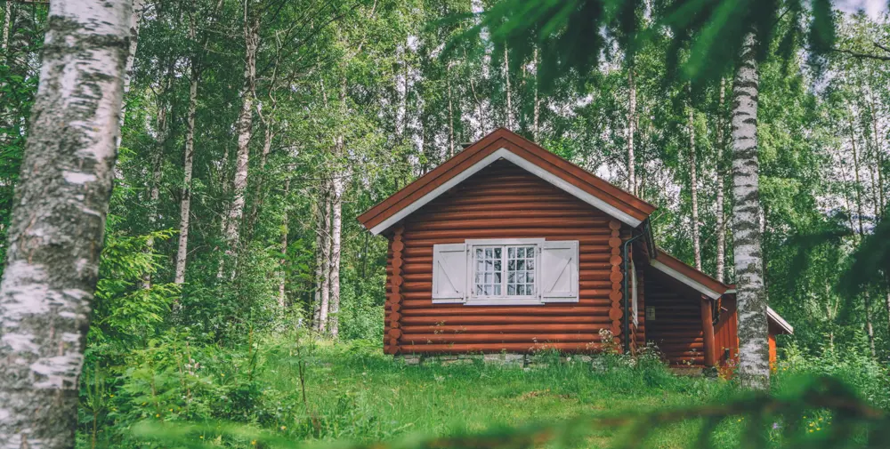 Åpne dager på Sæteren Gård