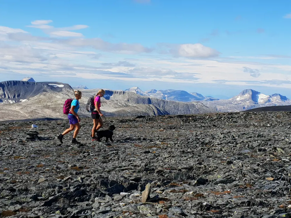 To kvinner og en liten hund i bånd som går over en steinete og øde landskaåp, med store fjell i bakgrunnen
