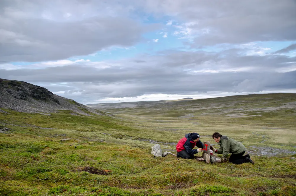 E1-dugnad i Finnmark sommeren 2012.