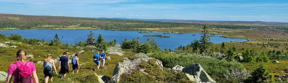 Øyungsfjellet