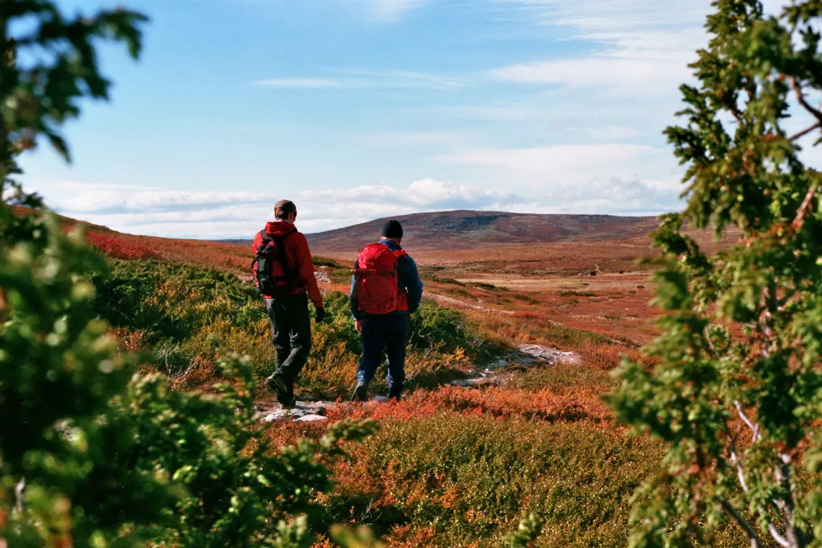 Tur til flyvraket ved Øverlihøgda på Ringebufjell. Fototur. Fottur.