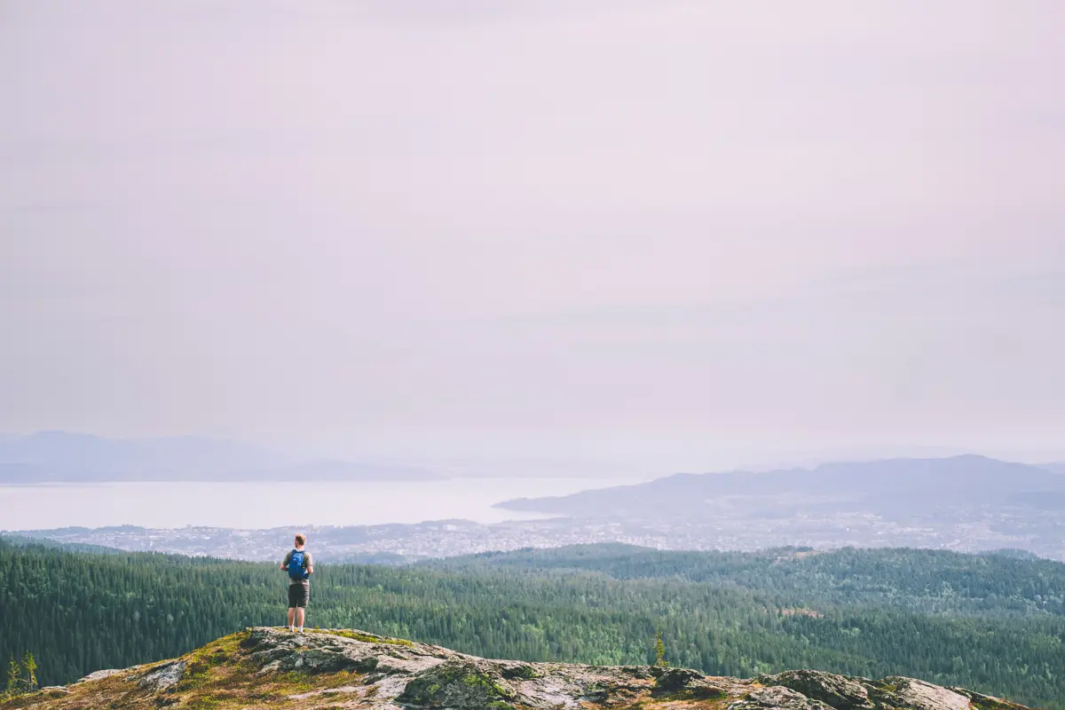 Bildet viser en vid utsikt over et granskoglandskap, som strekker hele veien mot en fjord i bakgrunnen. I forgrunnen står en mann på en bakkekant og ser utover, med ryggsekk på. 