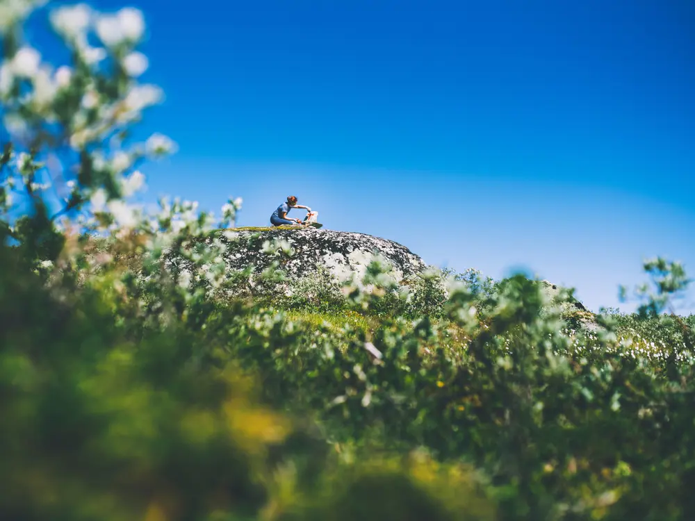 Bilder fra sommeråpning på Rauhelleren og Solheimstulen på Hardangervidda.