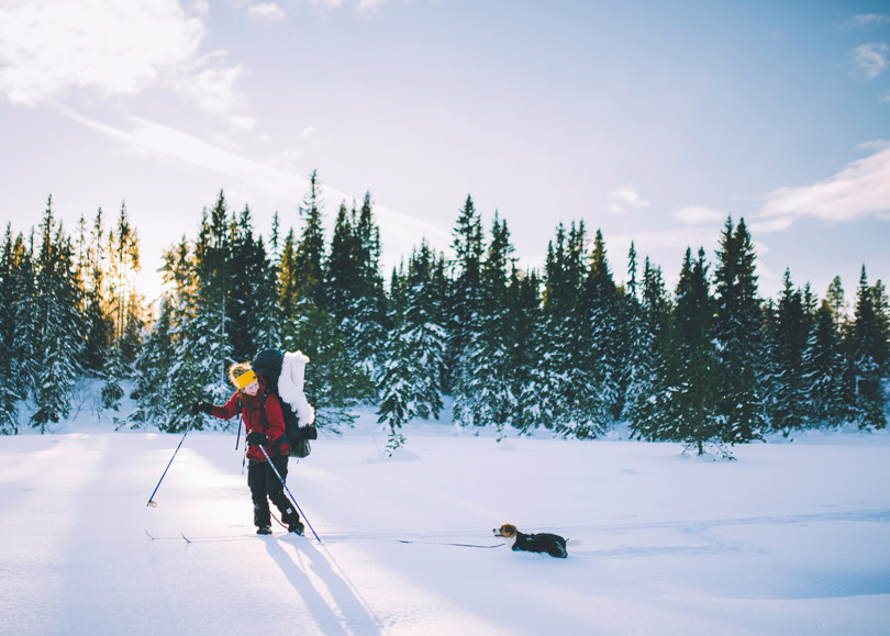 Person i rød anorakk og gult pannebånd går på ski i løssnøen i skogen. Bak personen går en liten hund.