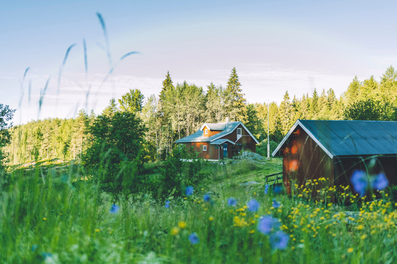 Rødt hus og rød låve i skogen. I forgrunnen er en blomstereng med gule og lilla blomster.