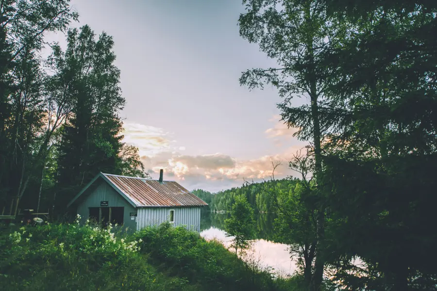 Grå hytte ved vann i skogen