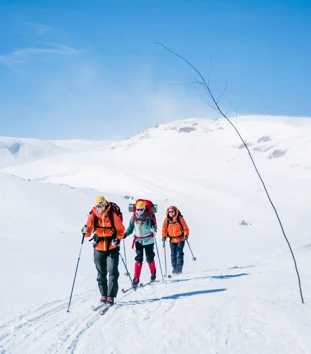 Tre skiløpere går langs kvistet løype i høyfjellet