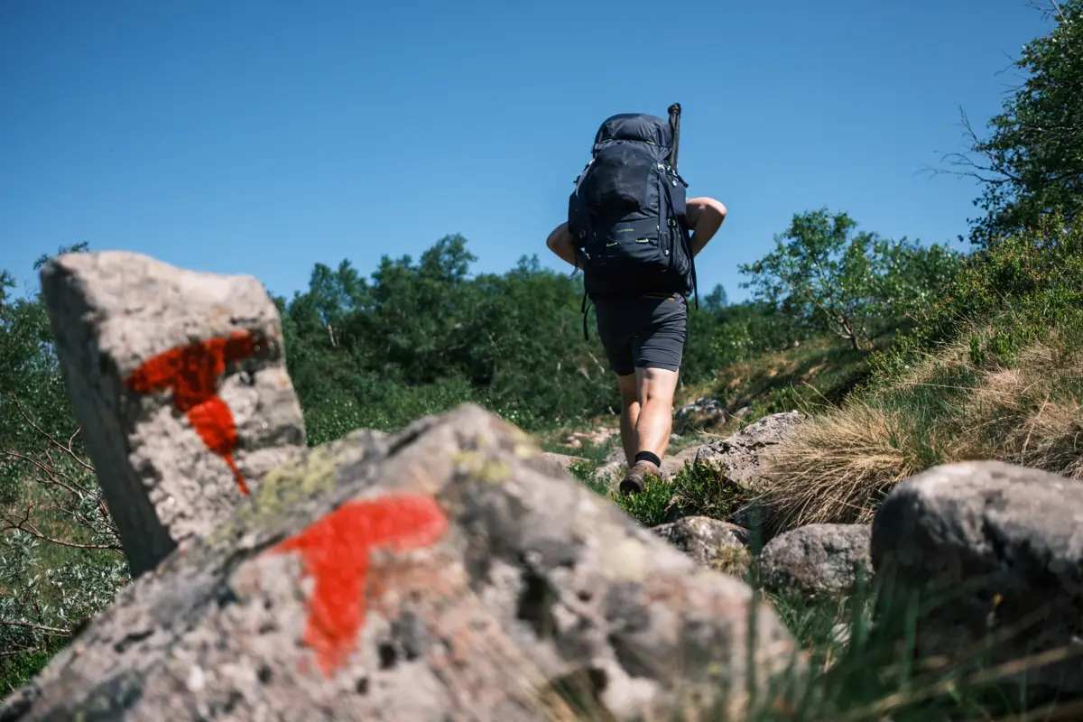 To røde T-er er malt på stein foran en person som går med svart sekk som går med ryggen til 