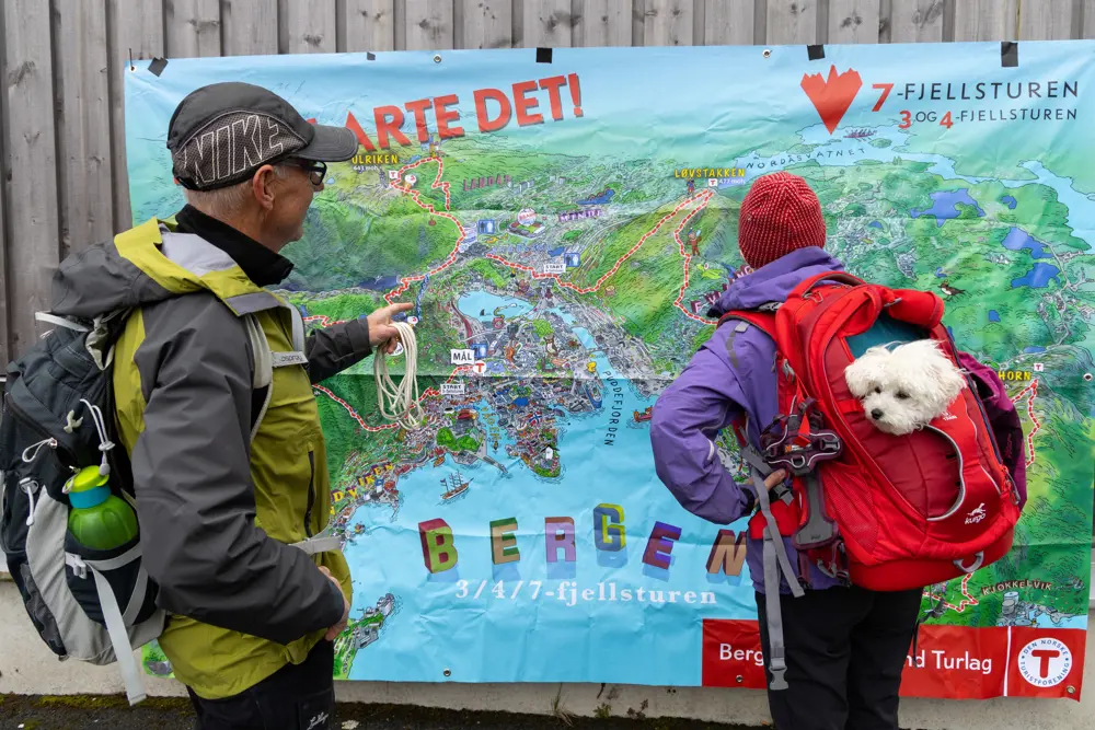 To personer ser på et kart som har tegnet inn hele 7-fjellsturens rute.