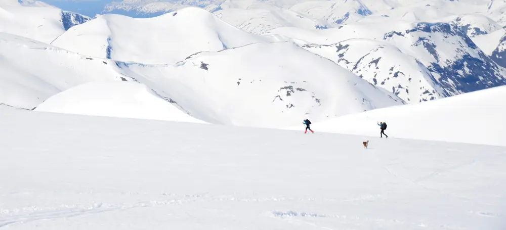 Skigåere over bre i vinterlandskap