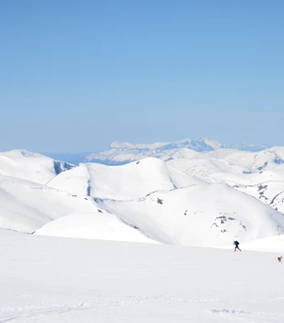 Skigåere over bre i vinterlandskap