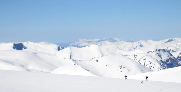 Skigåere over bre i vinterlandskap