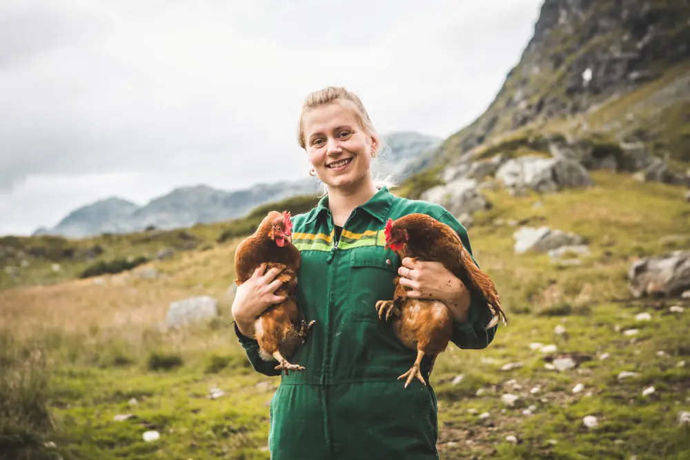 Iungsdalshytta i Skarvheimen, sommeren 2021.