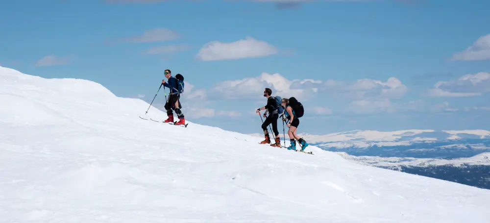 Gjeng på vei opp fjell med shorts og randoneeski.