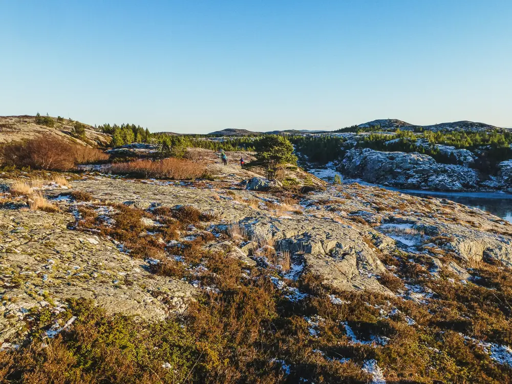 Et steinete landskap, med lyng og stritt gult gress i klumper. Nåltrær i bakgrunnen, med lave fjell bak der igjen. I midten, langt borte, er det tre personer som er ute og går, godt påkledd for kaldt vær. 