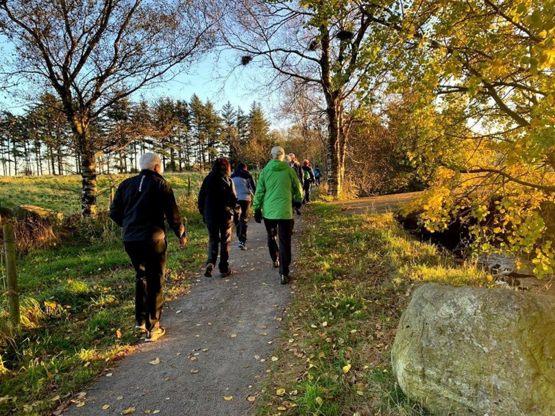 Høsttur i Hanabergmarka - nærtur i Hå.