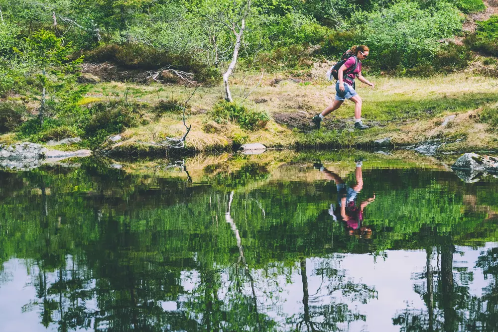 Bredden av en elv eller dam, med skog i bakgrunnen. En person jogger langs den åpne flaten mellom skog og vann. 