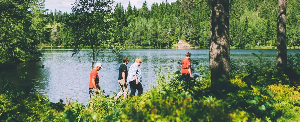 Fire turgåere i frodig terreng ved et tjern