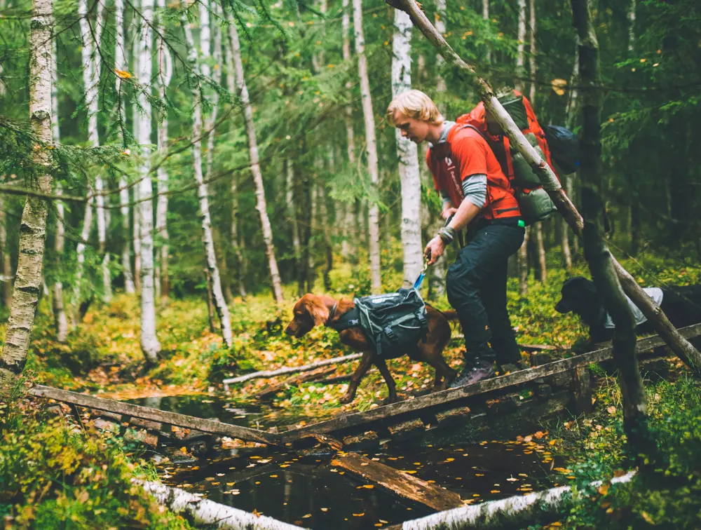 Høstferie gjennom tåken i Oslomarka i 2018. 